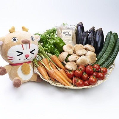 おがニャッピーと食べよう!おがのふるさとセット
