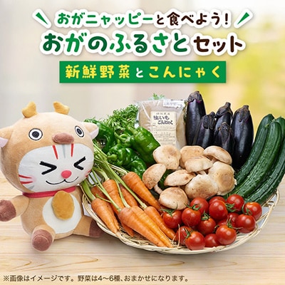 おがニャッピーと食べよう!おがのふるさとセット