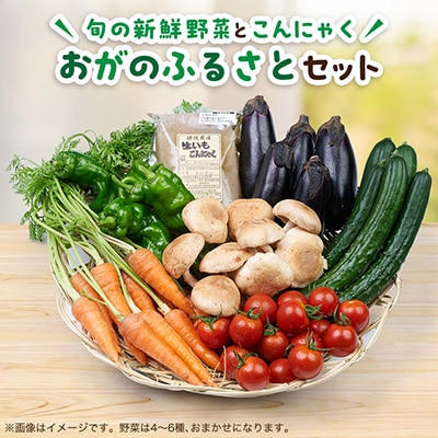 おがのふるさとセット