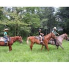 乗馬体験と馬とのふれあいコース　1名