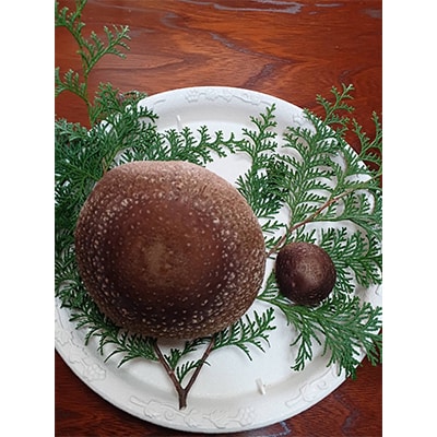 極峯椎茸(きょくほうしいたけ)～小さな里の大きなきのこ～