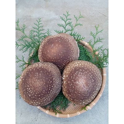 極峯椎茸(きょくほうしいたけ)～小さな里の大きなきのこ～