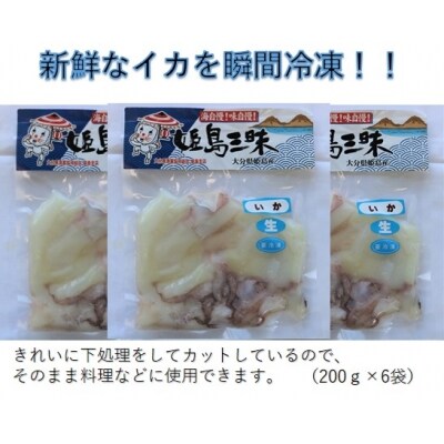 イカぶつ お礼品詳細 ふるさと納税なら さとふる