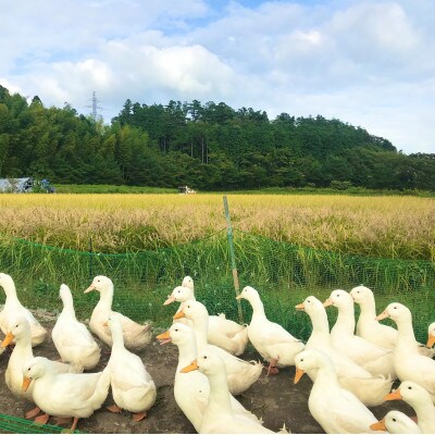 福島県広野町の地酒2本セット