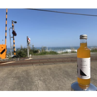 みかんサイダー 200ml×16本