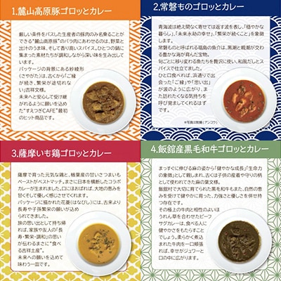 絶品スパイスカレー食べ比べ4個セット