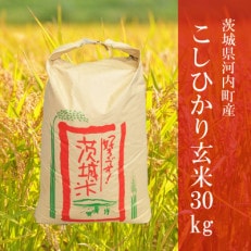 [令和5年産]茨城県河内町産コシヒカリ玄米30kg