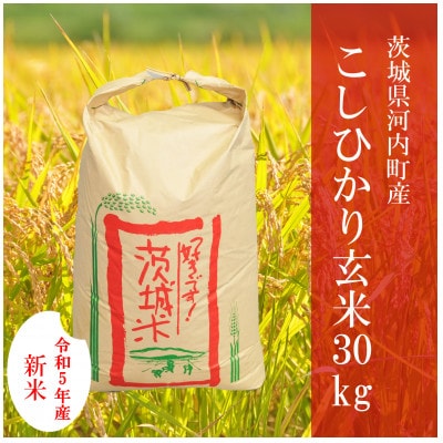 令和5年度 茨城県産コシヒカリ 玄米30kg食品/飲料/酒 - 米/穀物