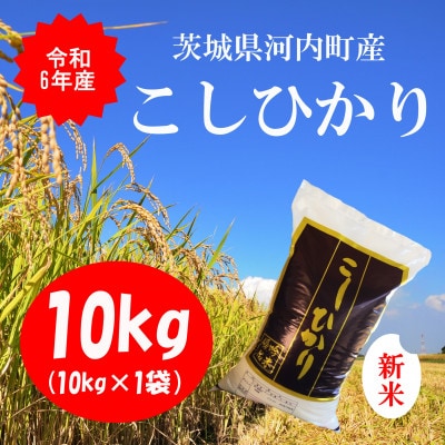 令和6年産茨城県河内町産コシヒカリ10kg(10㎏×1袋)