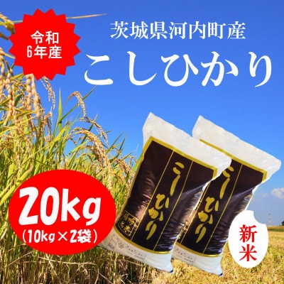 令和6年産茨城県河内町産コシヒカリ20kg(10㎏×2袋)