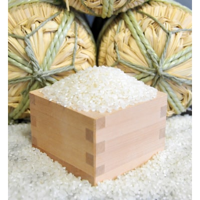 令和6年産茨城県河内町産コシヒカリ20kg(10㎏×2袋)