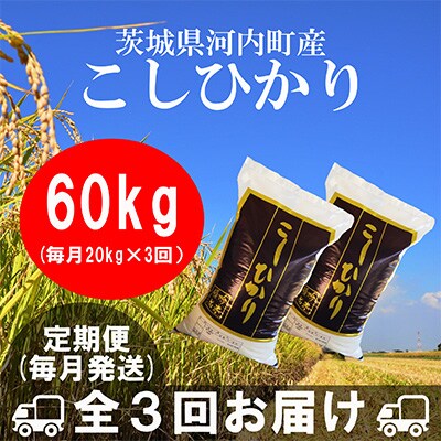 【毎月定期便】茨城県河内町産コシヒカリ20kg 全3回