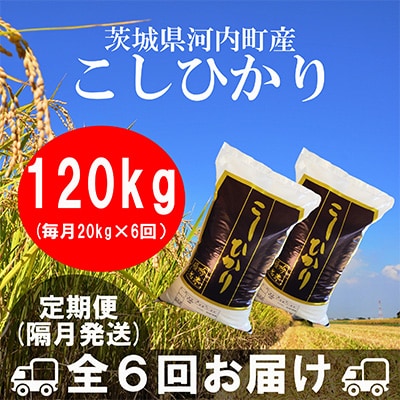 【2ヵ月毎定期便】茨城県河内町産コシヒカリ20kg 全6回