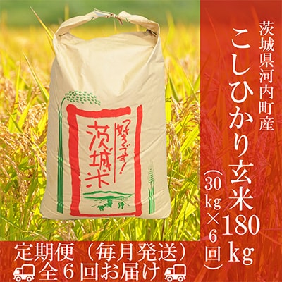 茨城県産コシヒカリ 令和5年 玄米30キロ （令和5年産 茨城県産