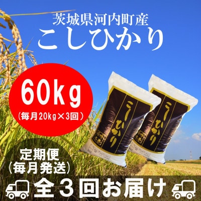 【毎月定期便】茨城県河内町産コシヒカリ20kg(10kg×2袋)全3回
