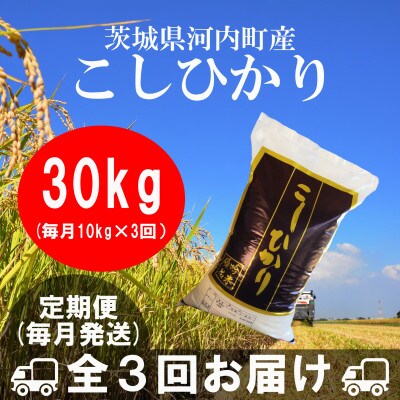 【毎月定期便】茨城県河内町産コシヒカリ10kg(10kg×1袋)全3回