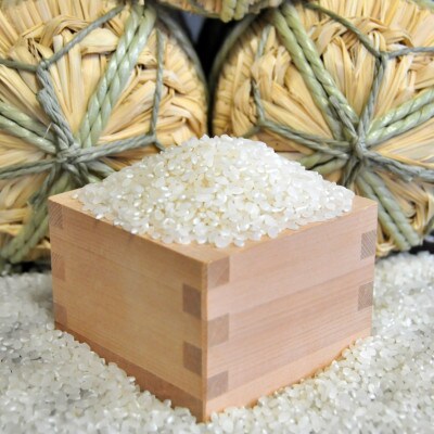 【毎月定期便】茨城県河内町産コシヒカリ10kg(10kg×1袋)全3回