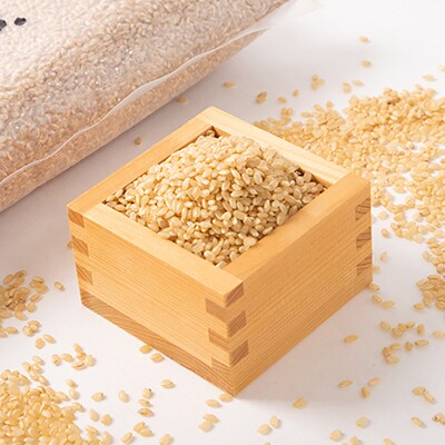 コシヒカリ 新米 玄米 30kg 令和5年産 茨城県産 笠間産 送料