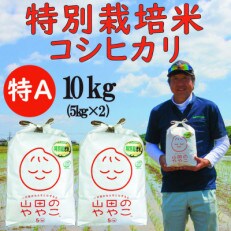 令和4年産河内町『山田のややこ』特別栽培米コシヒカリ10kg(5kg×2袋)