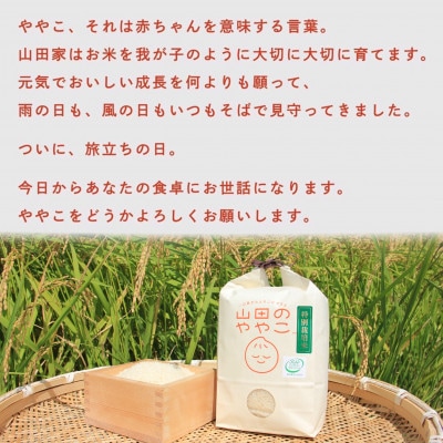令和6年産『山田のややこ』特別栽培米コシヒカリ(精米)10kg(5kg×2袋)