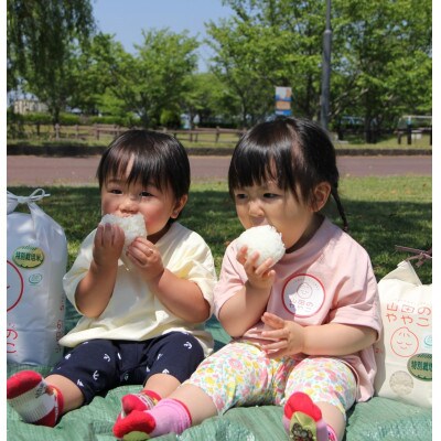令和6年産『山田のややこ』特別栽培米コシヒカリ(精米)5kg
