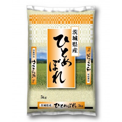 【令和4年産】河内町産ひとめぼれ10kg(5kg×2)(精米)
