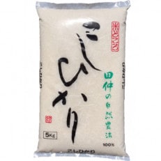 【令和5年産】特別栽培米 田仲のこしひかり10kg(5kg&times;2)(精米)