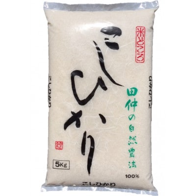 【令和6年産】特別栽培米　田仲のこしひかり10kg(5kg×2)(精米)
