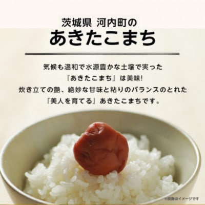 【令和8年産】河内町産あきたこまち 精米 20kg(10kg×2袋)