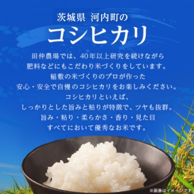 【令和8年産】河内町産コシヒカリ 精米 15kg(5kg×3袋)