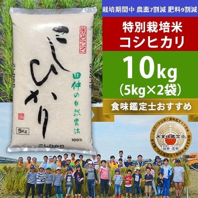 【令和8年産】特別栽培米 田仲のこしひかり(精米)10kg(5kg×2袋)　茨城県 河内町