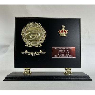 常陸牛カルビと美明豚ロース切身2品ギフト(茨城県共通返礼品・行方市産)