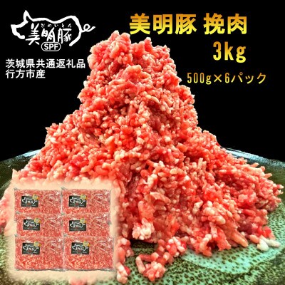 【美明豚】挽肉(500g×6パック)(茨城県共通返礼品・行方市産)