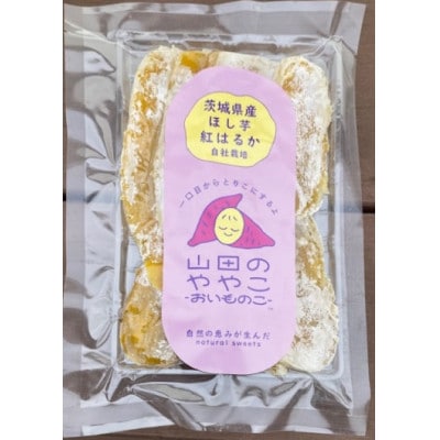 かわちクリスマスイルミーション2025・花火観覧桟敷席(4人分)+河内町お土産付き