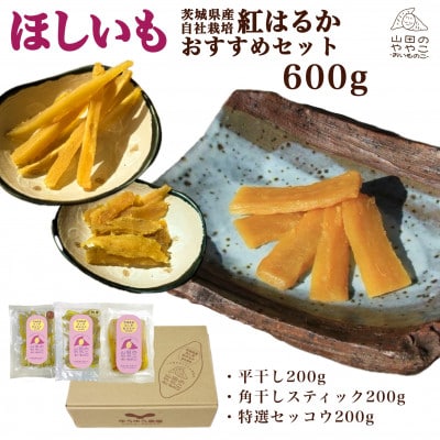 山田のややこ -おいものこ- 新おすすめセット 600g