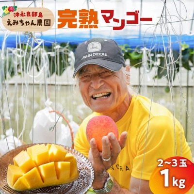 【2026年先行予約】竹マンゴーえみちゃん農園の完熟マンゴー　1kg