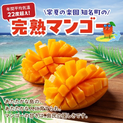 【2026年先行予約】竹マンゴーえみちゃん農園の完熟マンゴー　1kg