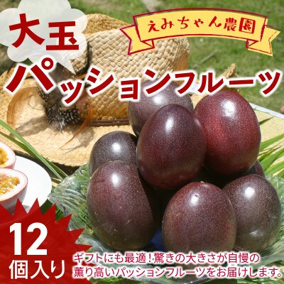 【2026年先行予約】えみちゃん農園 大玉パッションフルーツ(12個入り)