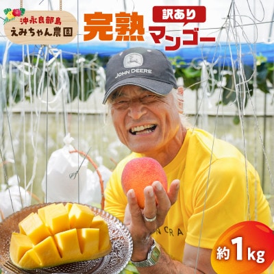【2026年先行予約】竹マンゴーえみちゃん農園の完熟マンゴー(訳あり)1kg
