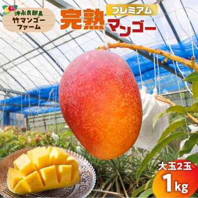 【2026年先行予約】竹マンゴーえみちゃん農園の完熟マンゴー　プレミアム1kg