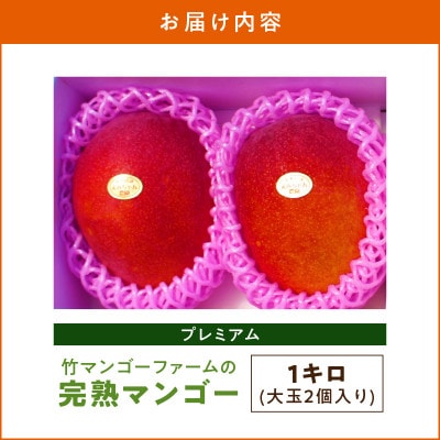 【2026年先行予約】竹マンゴーえみちゃん農園の完熟マンゴー　プレミアム1kg