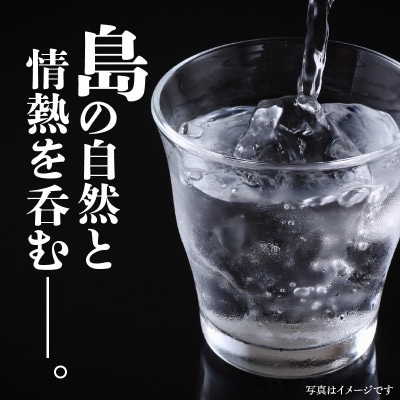 奄美黒糖焼酎 天下一 30度　1800ml×1本