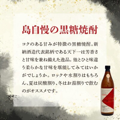 奄美黒糖焼酎 天下一 30度　900ml×2本