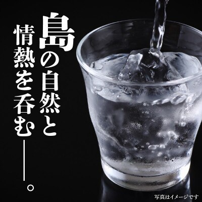 本格焼酎 水連洞 40度　720ml×1本