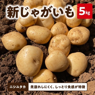 じゃがいも ニシユタカ(5kg)