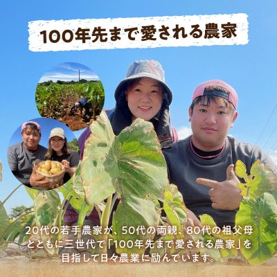 里芋(石川早生丸)(2kg)