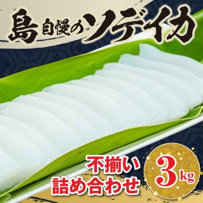 沖永良部島 イカの王様!ソデイカ 3kg