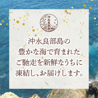 沖永良部島 イカの王様!ソデイカ 3kg
