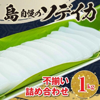 沖永良部島 イカの王様!ソデイカ 1kg