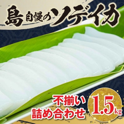 沖永良部島 イカの王様!ソデイカ 1.5kg